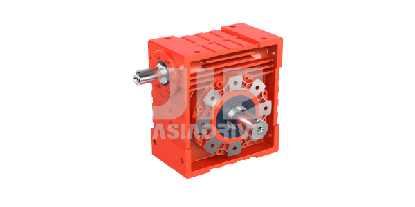 Worm Gear Reducer