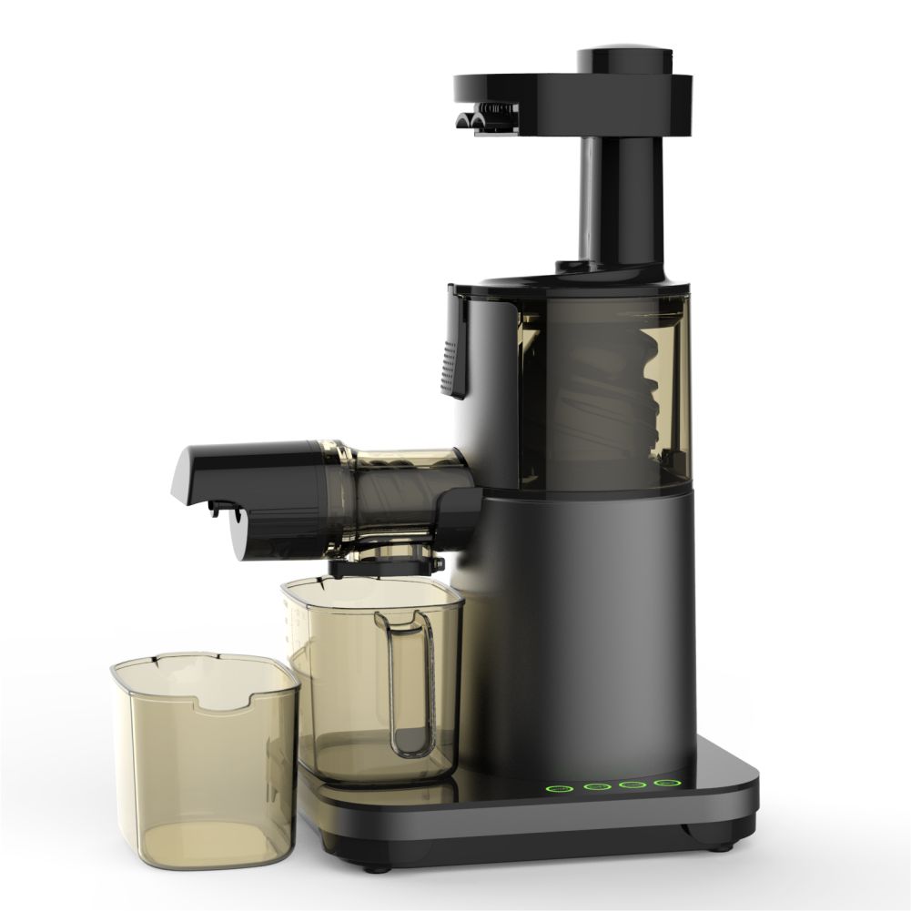 Masticating Slow Juicer for Fruits and Vegetables