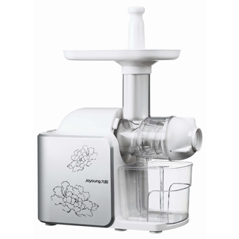 Slow Masticating Juicer for Fruits and Vegetables