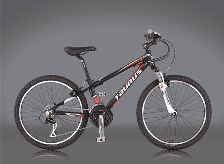24-inch Junior Mountain Bike with Alloy Frame