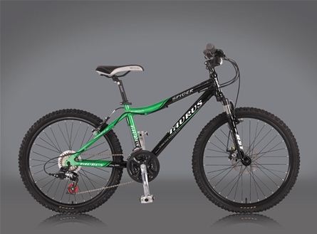 24-inch Children's Mountain Bike