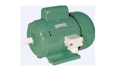 Cast Iron Single-Phase Electric Motor