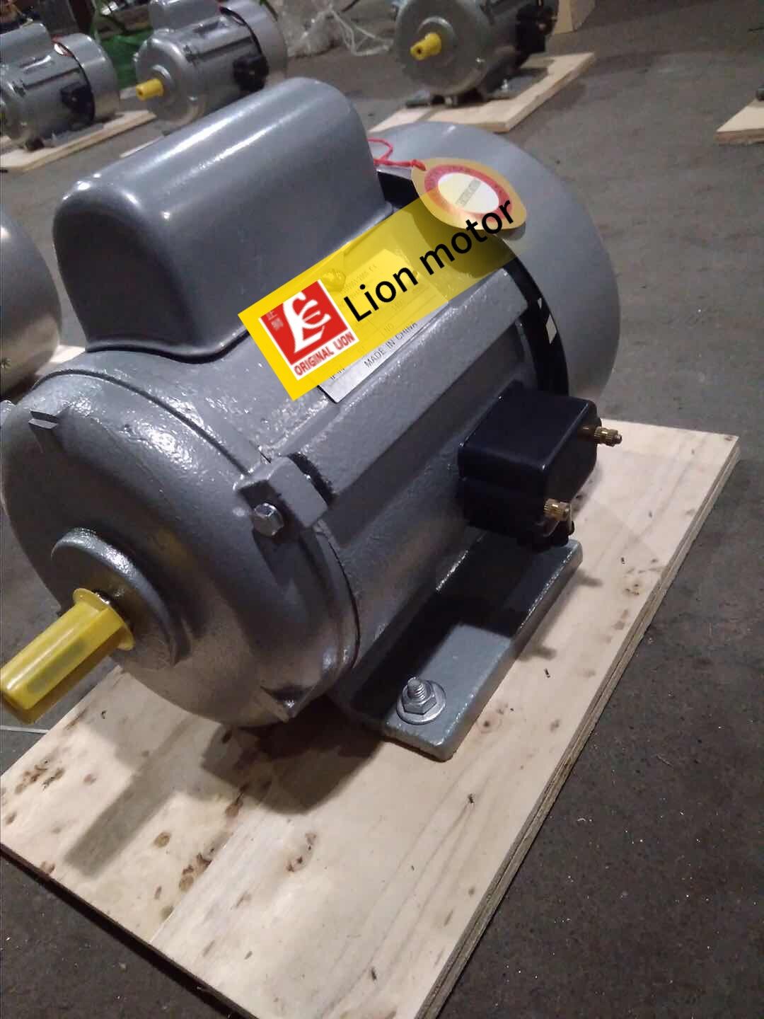JY SERIES SINGLE PHASE induction motor - Image 3