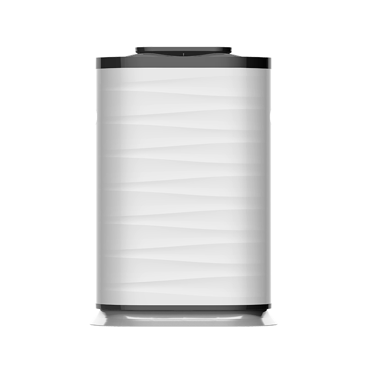 Negative Ion Air Purifier for Home