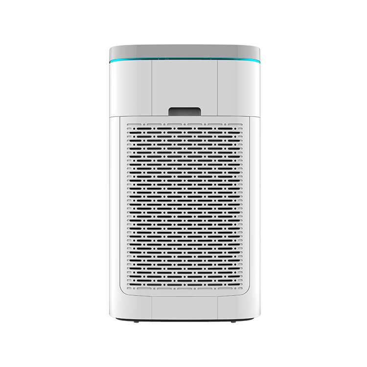 Air Purifier with Dual Filter and Anion Technology