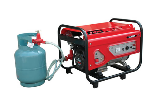 Portable LPG Generator with AVR