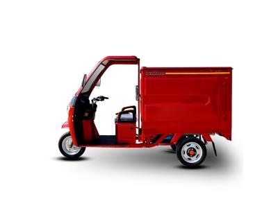 Electric Cargo Tricycle for Urban Delivery