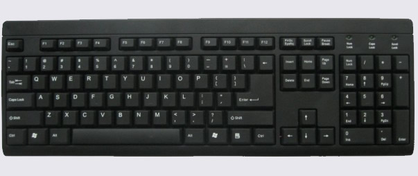 Standard Full-Size QWERTY Keyboard