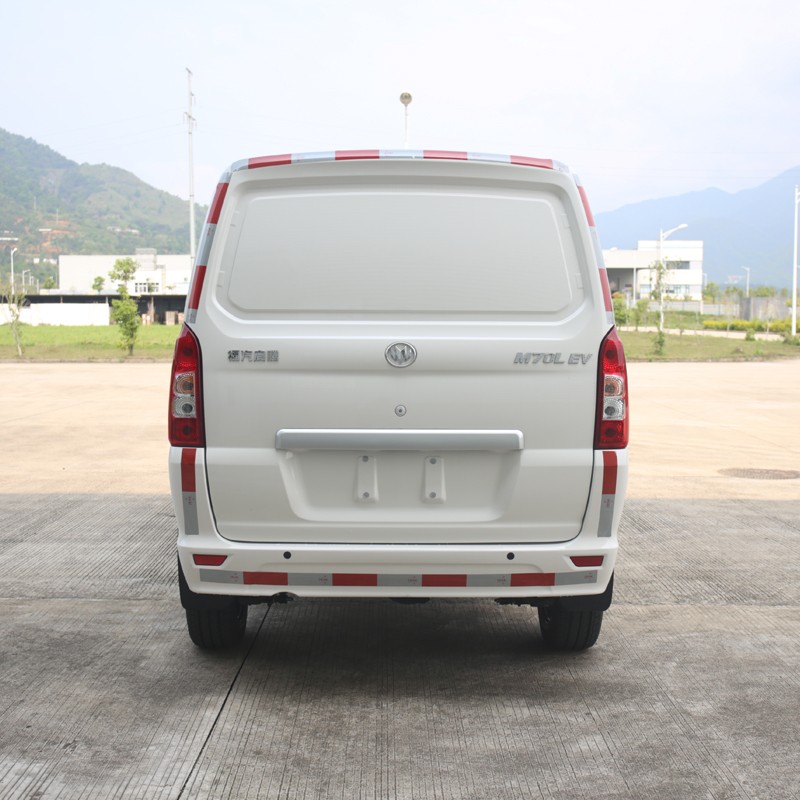 Electric Cargo Van