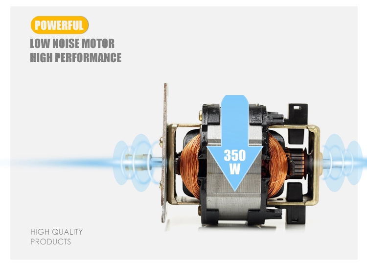 Close up of the electric motor component showing 350W power rating