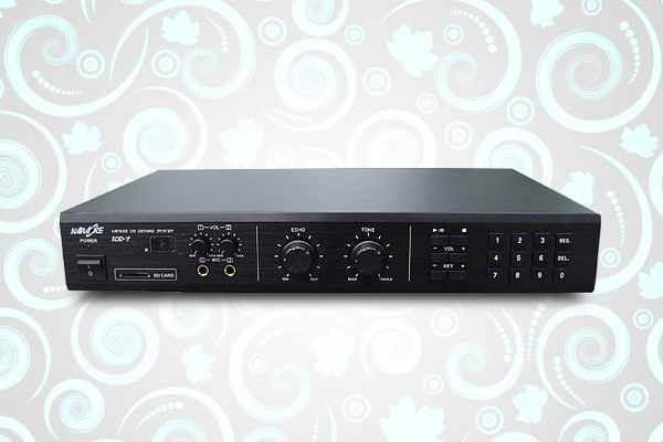 Karaoke Mixing Amplifier with Echo and Tone Control