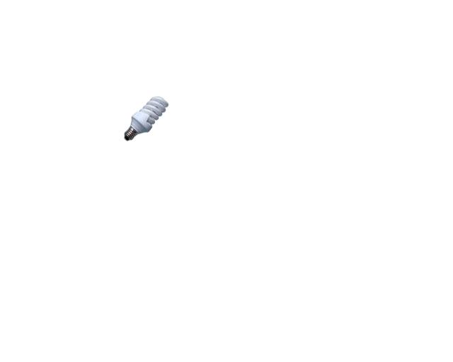 Compact Fluorescent Spiral Lamp