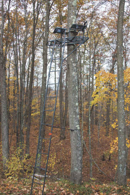 Elevated Hunting Stand with Integrated Ladder