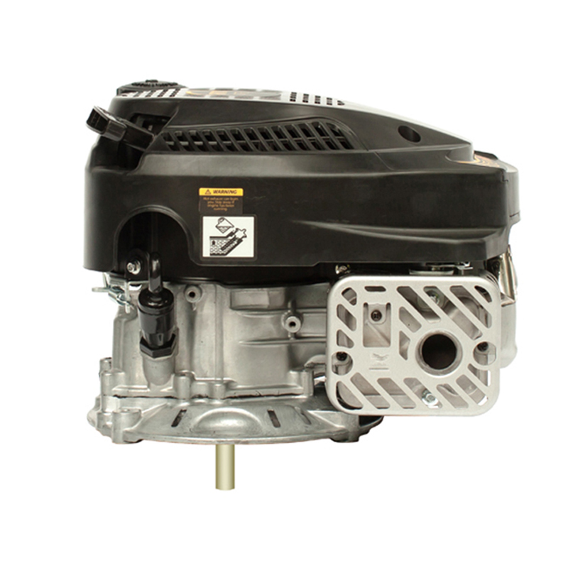 Lawn Mower Engine
