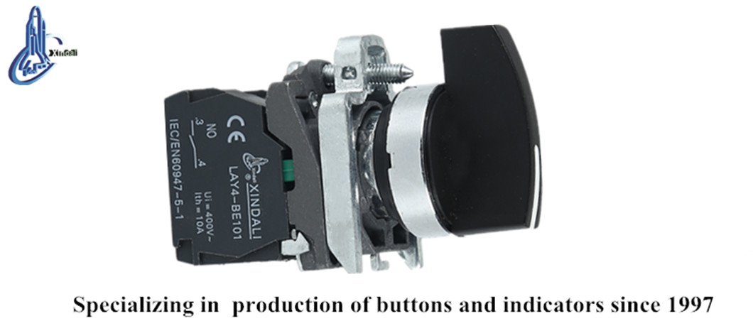 Close up of the push button switch showing terminal markings and electrical ratings