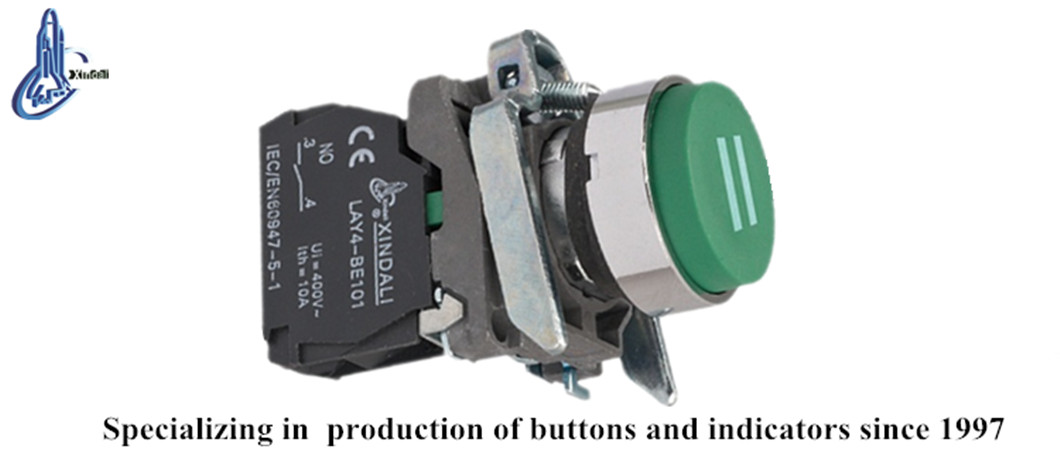 Close up of the momentary push button switch showing technical labels and construction