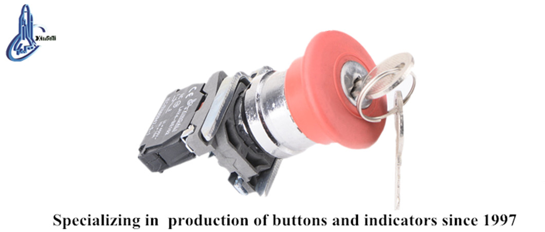 Close-up view of the LAY4-BS142 emergency stop button