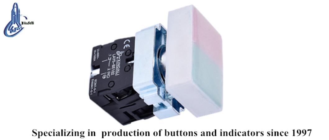 Close-up of the double-headed flush push button