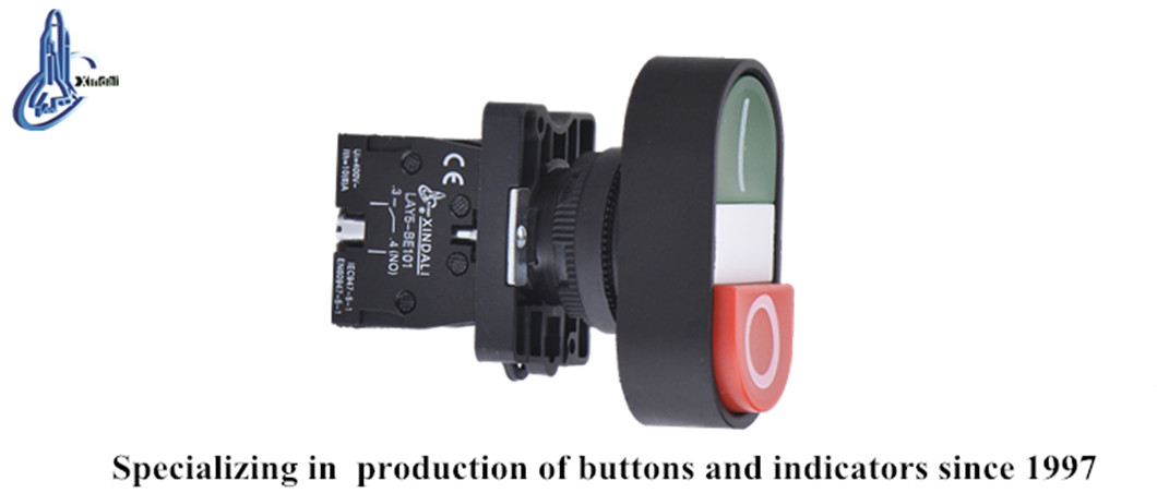 Double head push button switch close up