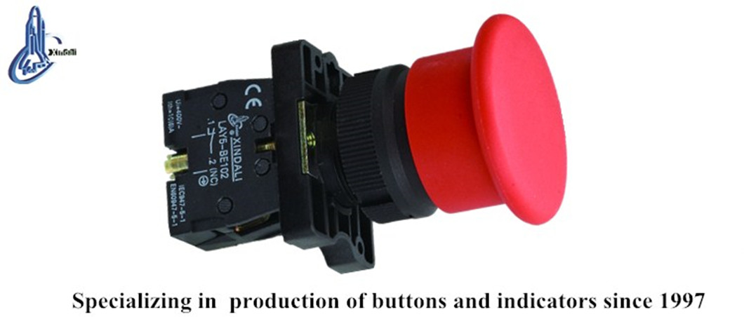 Close up of the red mushroom head emergency stop switch