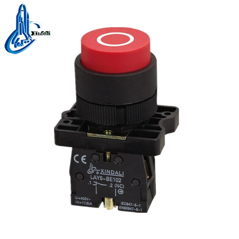 Spring Return Projecting Push Button Switch with Symbol