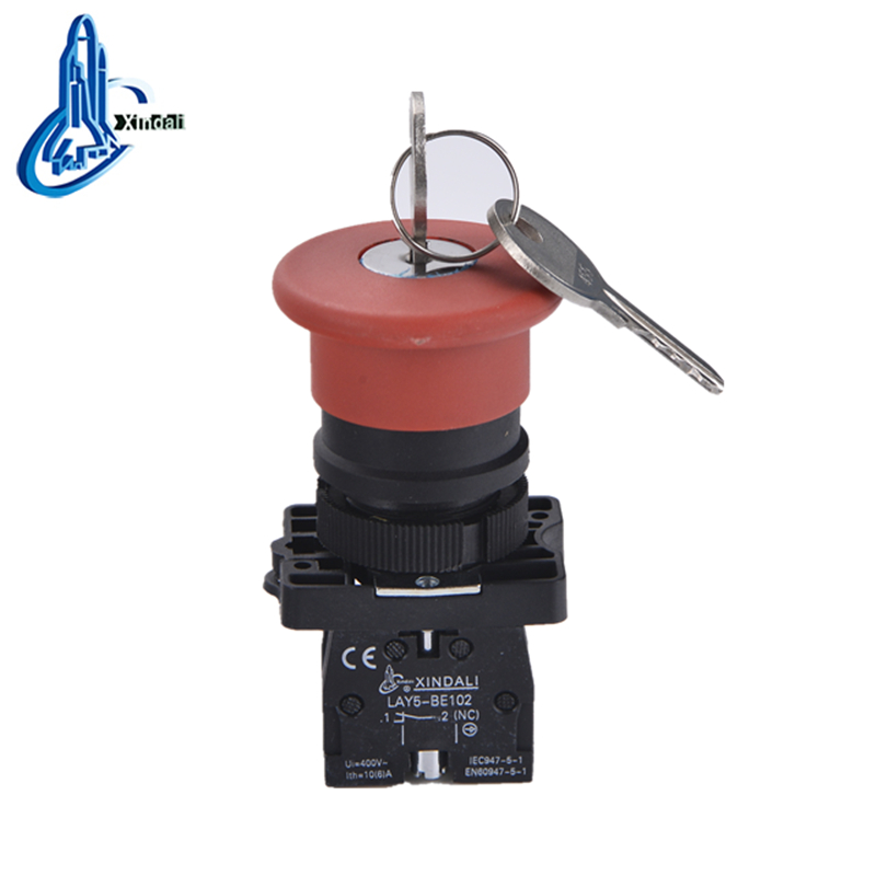 LAY5-ES142 button or m22 mushroom push button switch with key - Image 3