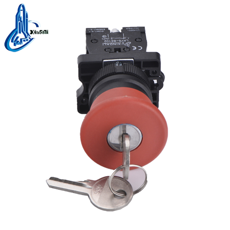 Key-Operated Mushroom Head Push Button Switch