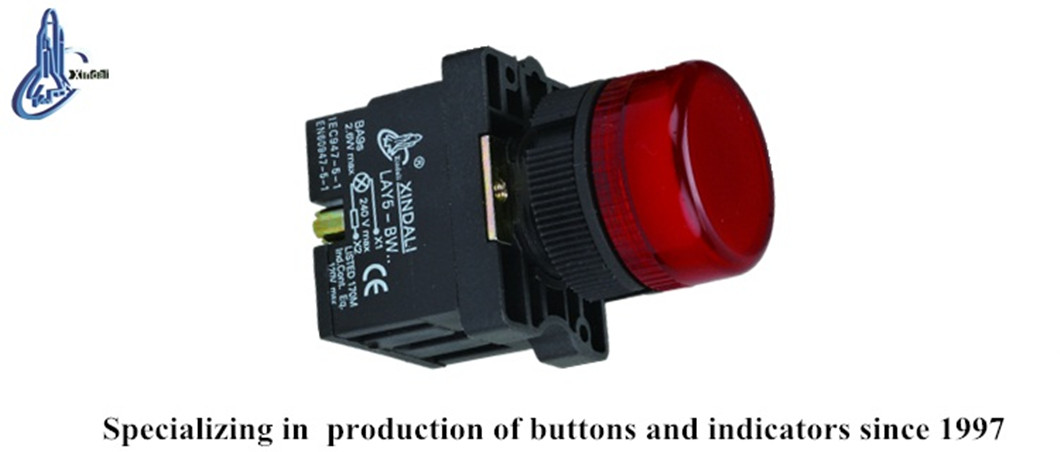 Close up of the red flush push button indicator