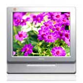 LCD Display Screen