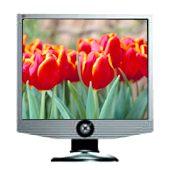 High-Resolution LCD Monitor