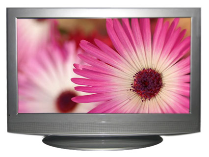 42" LCD Display