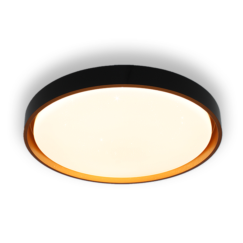 LED Ceiling Light - Image 3