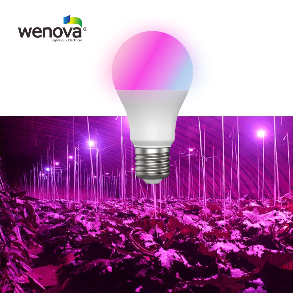 LED Horticulture Bulb - Image 2