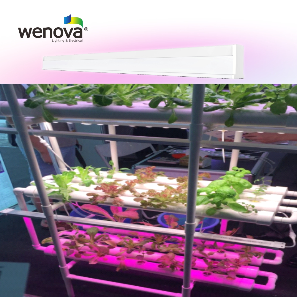 LED Grow Light Bulb for Horticulture