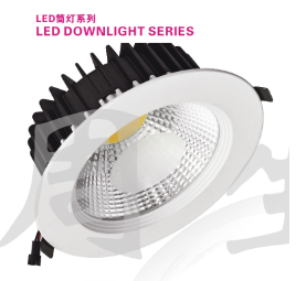 Circular LED Downlight