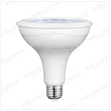 LED PAR Lamp (PAR20, PAR30, PAR38)