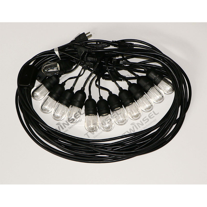 LED Edison-Style RGB String Light