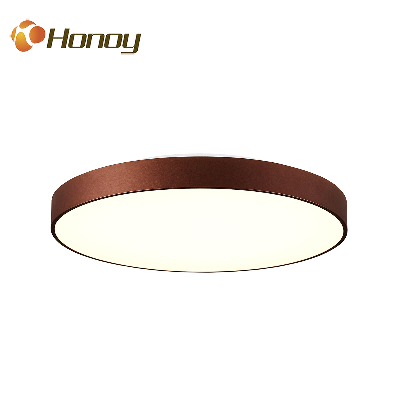 LED Smart Ceiling Lamp/ Pendant Lamp - Image 3