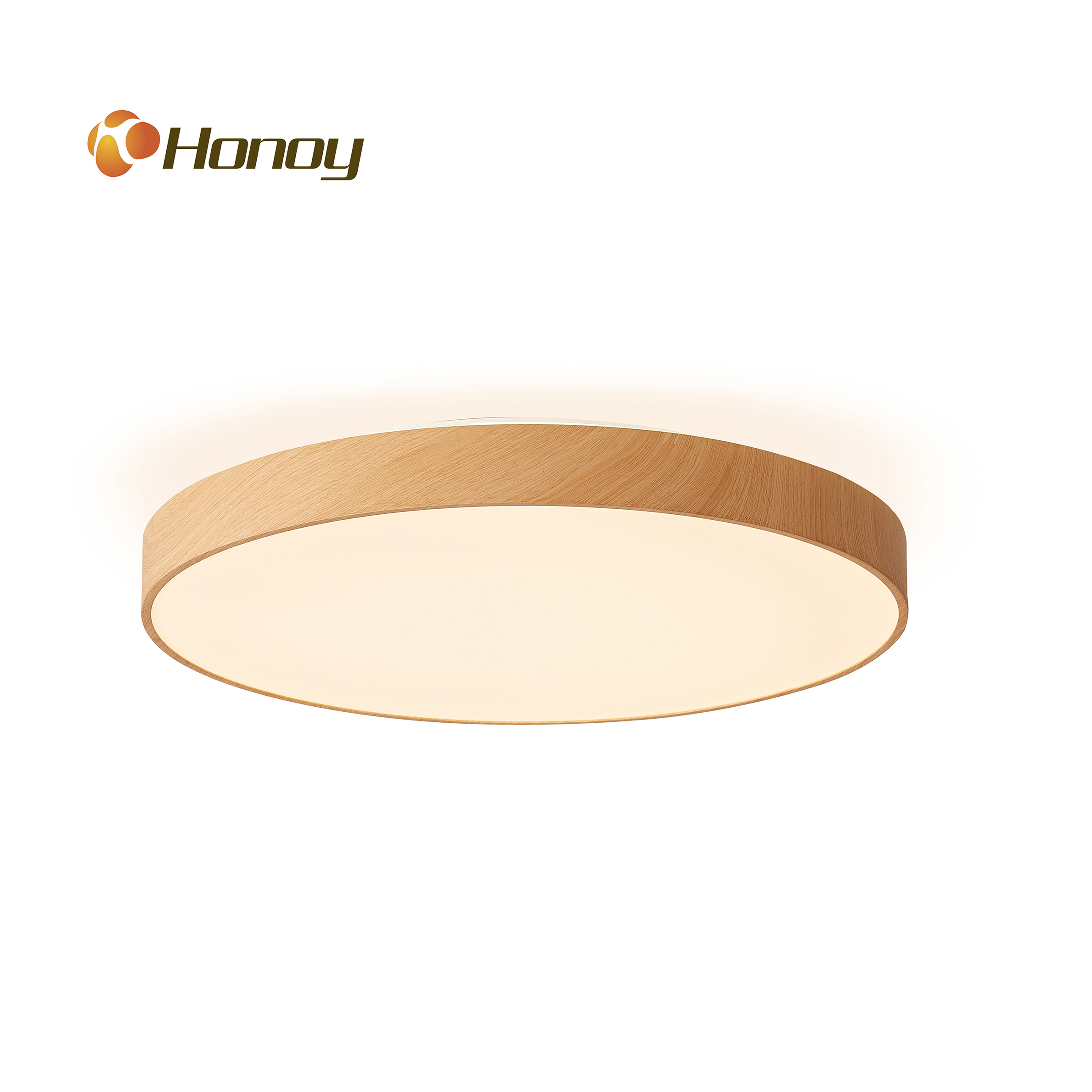 LED Smart Ceiling Lamp/ Pendant Lamp - Image 2