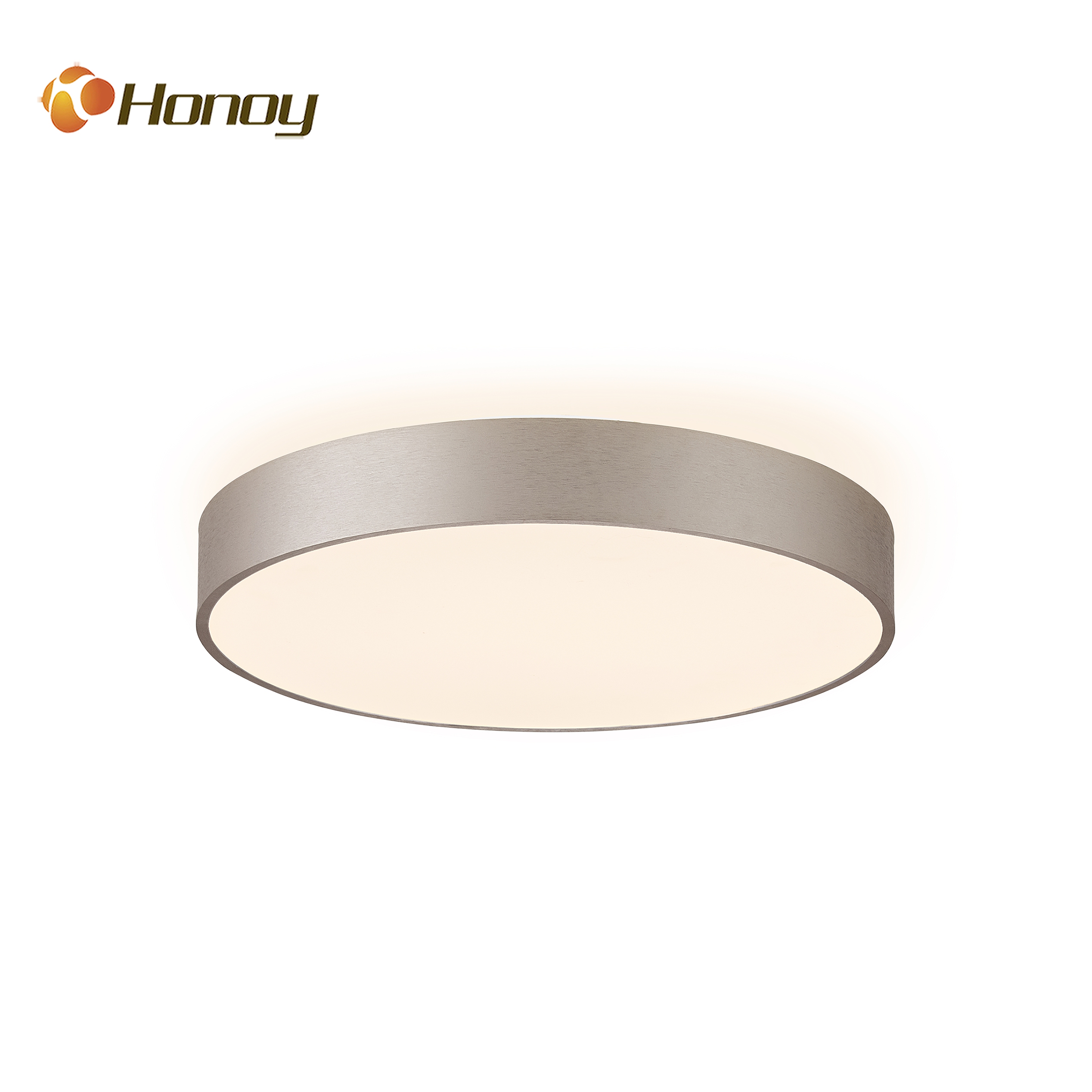 Smart LED Ceiling/Pendant Lamp with Adjustable Settings