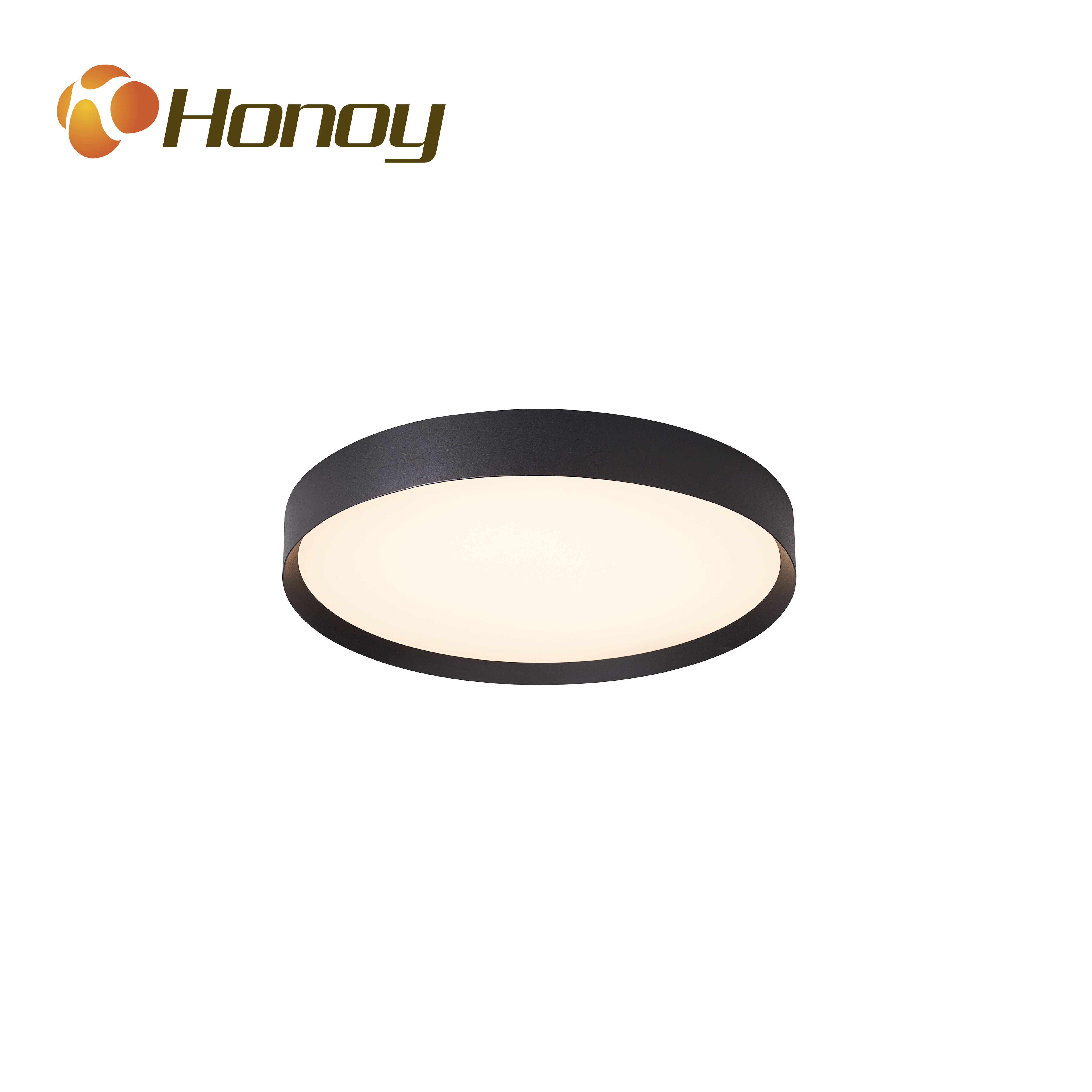 Smart LED Ceiling Light