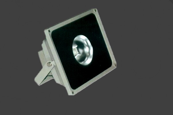 LED Outdoor Spot Light