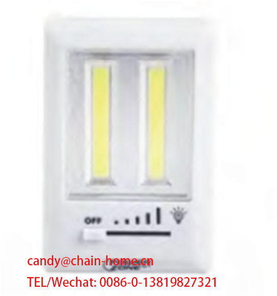 Adjustable Brightness LED Closet Light