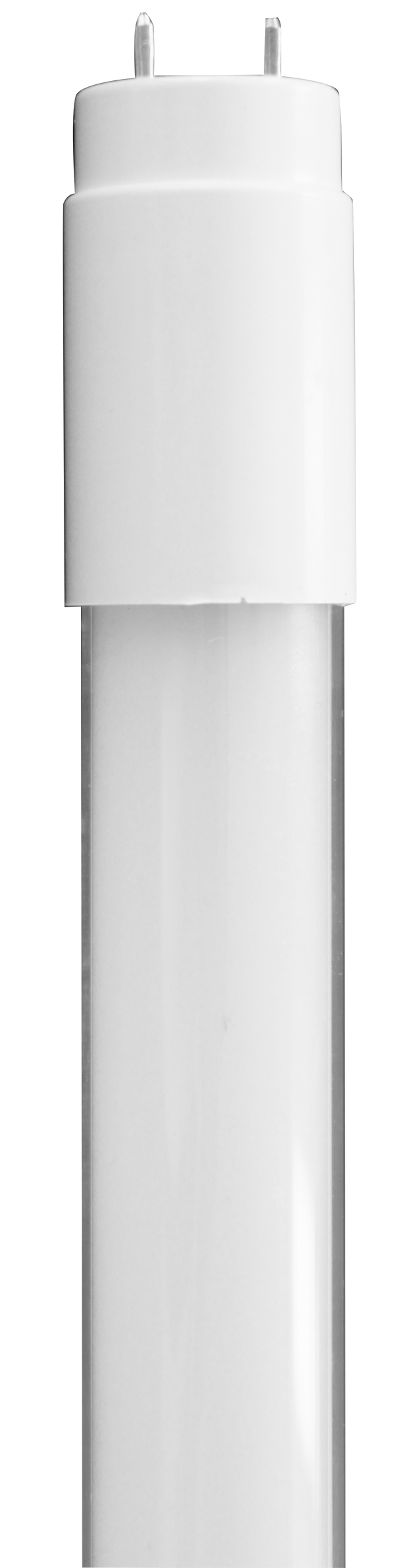LED Tube Light