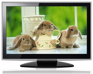 22-Inch LED Television with Multiple Inputs