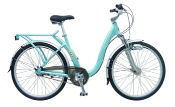 Step-Through Frame Leisure Bicycle with Rack and Fenders