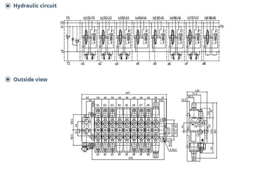 Hydraulic circuit diagram and dimensional overview