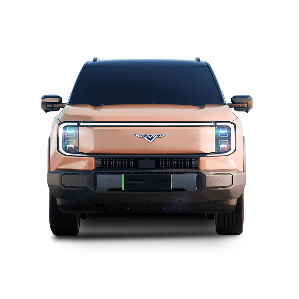 LHD/RHD EV Pickup Truck - Image 2