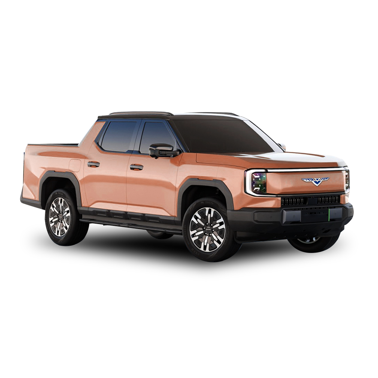 Electric Pickup Truck (LHD/RHD)