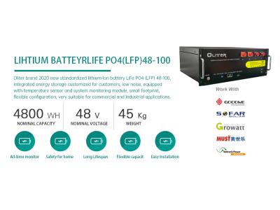 LiFe PO4(LFP)48-100 - Image 3